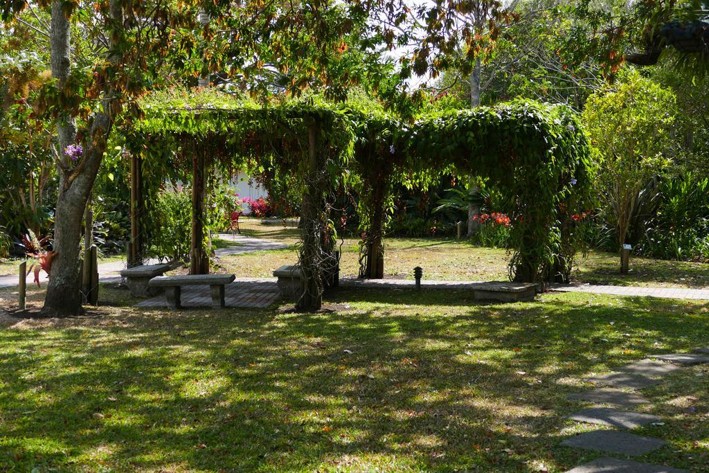Hotel Bougainvillea San Jose Santo Domingo De Heredia Ngoại thất bức ảnh