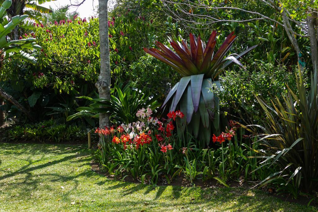 Hotel Bougainvillea San Jose Santo Domingo De Heredia Ngoại thất bức ảnh